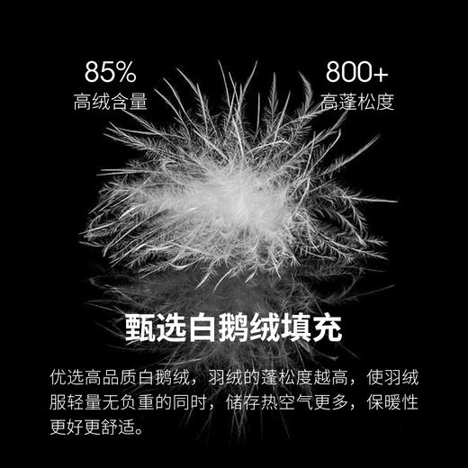 【名盾】羽绒服M0DB25766B 商品图3