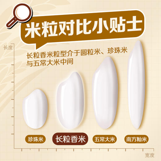 福临门皇宗贡稻长粒香5kg 商品图1