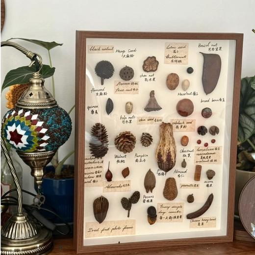 【手工DIY】果实装饰画 商品图0