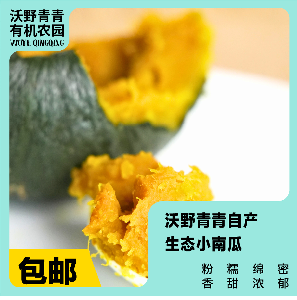 沃野青青自产露天生态小南瓜，4斤 | 有机方式种植，粉糯甘甜，果肉细腻