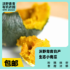 沃野青青自产露天生态小南瓜，4斤 | 有机方式种植，粉糯甘甜，果肉细腻 商品缩略图0