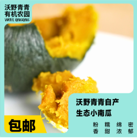 沃野青青自产露天生态小南瓜，4斤 | 有机方式种植，粉糯甘甜，果肉细腻