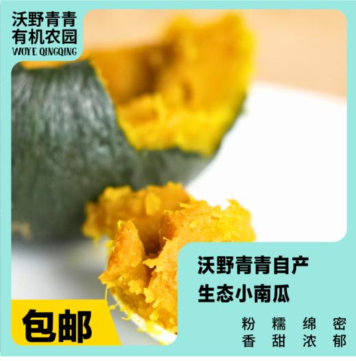 沃野青青自产露天生态小南瓜，4斤 | 有机方式种植，粉糯甘甜，果肉细腻 商品图0