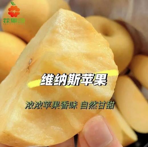 【神仙苹果】黄金维纳斯苹果3个 约500g 商品图0