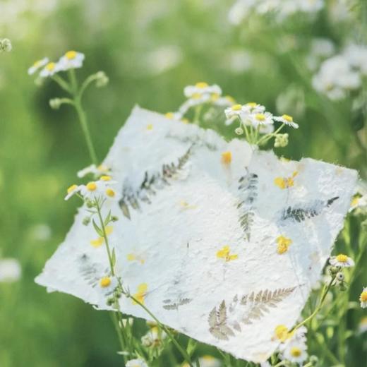 【非遗手工】古法造纸术 商品图2