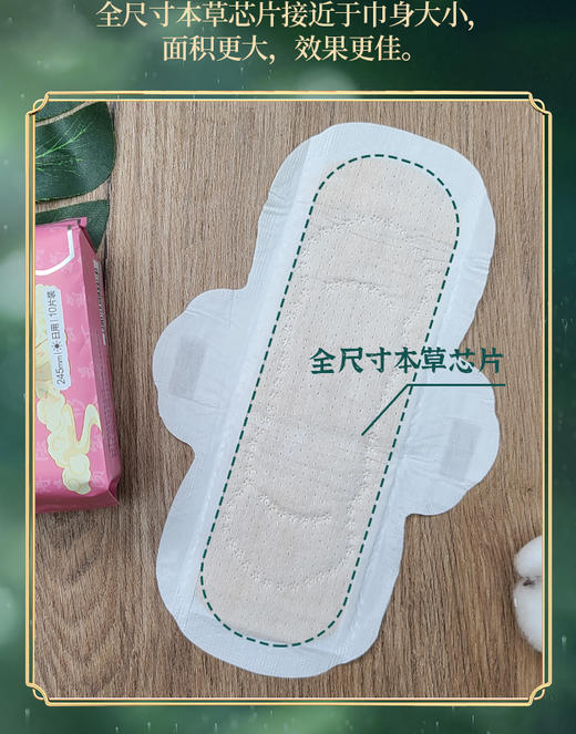 植物仙子全芯养护卫生巾 商品图4