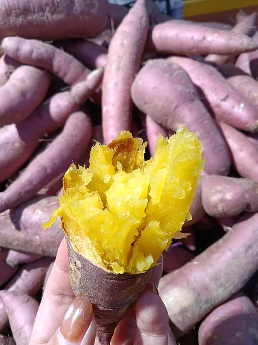 糖心地瓜5斤 商品图0