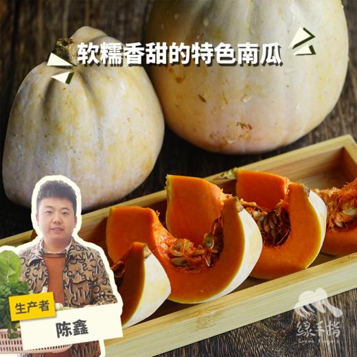 生态拉飞南瓜 | 合作生产*Eco-pumpkin | Coproduction 商品图0