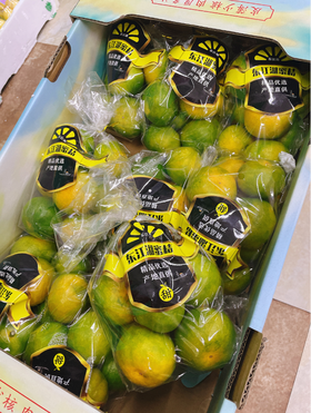 东江湖蜜橘一袋