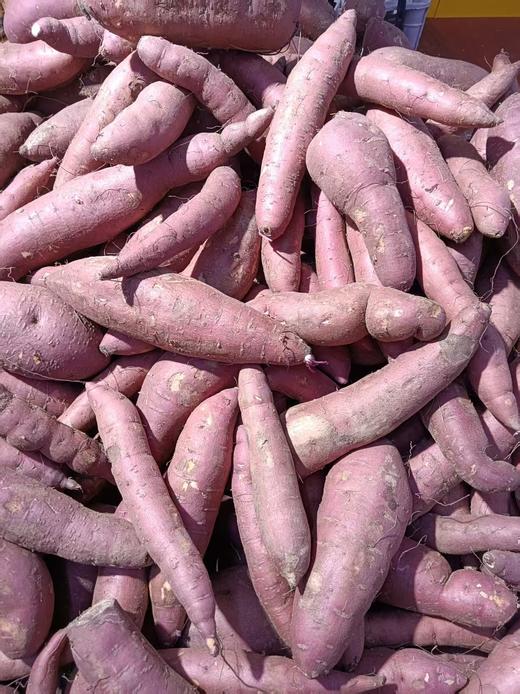 糖心地瓜5斤 商品图1