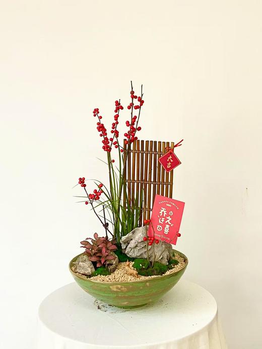 冬青/MXY绿盆480 商品图0