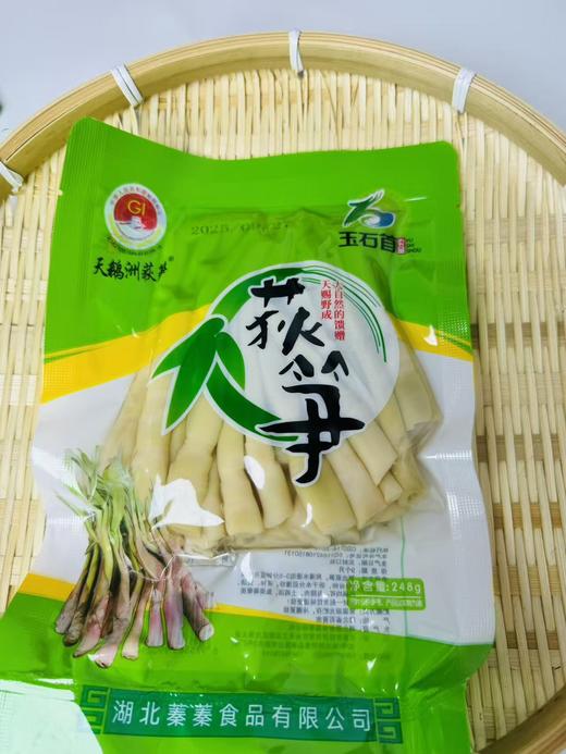 【严选】【野生新鲜笋 留嫩去皮 新鲜蔬菜柴笋子芦苇笋】湖北石首监利华容特产天鹅洲荻笋（厂家直发） 商品图1