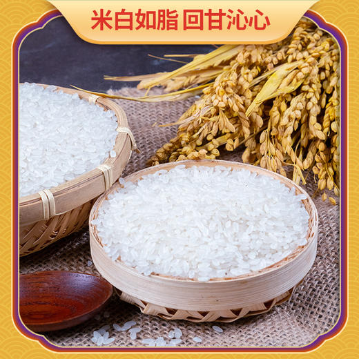 福临门皇宗贡稻长粒香5kg 商品图2