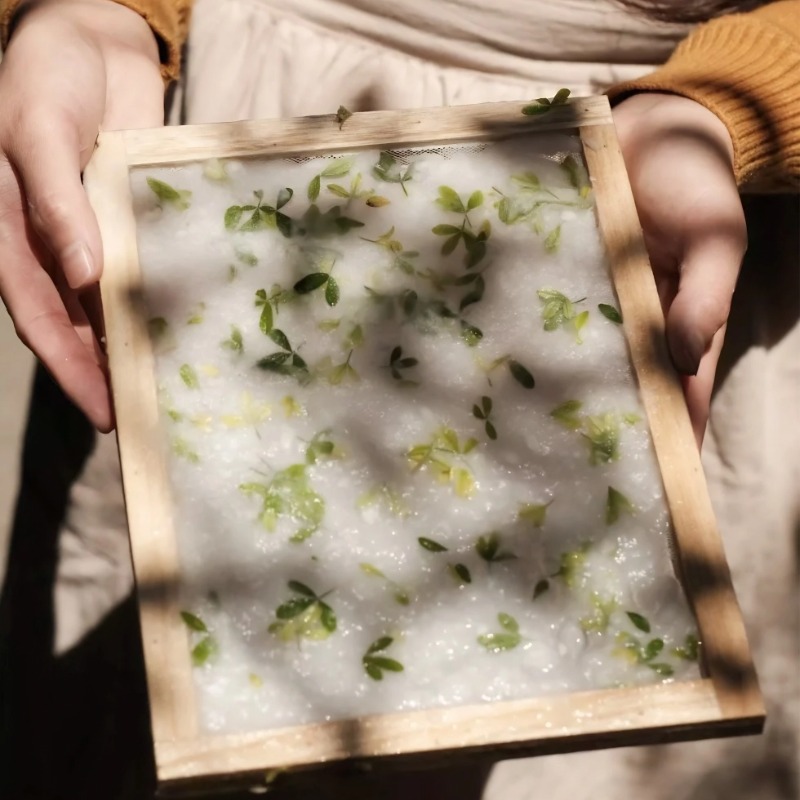 【非遗手工】古法造纸术