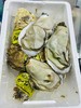 生蚝一箱（补单） 商品缩略图1