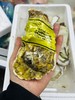 生蚝一箱（补单） 商品缩略图0