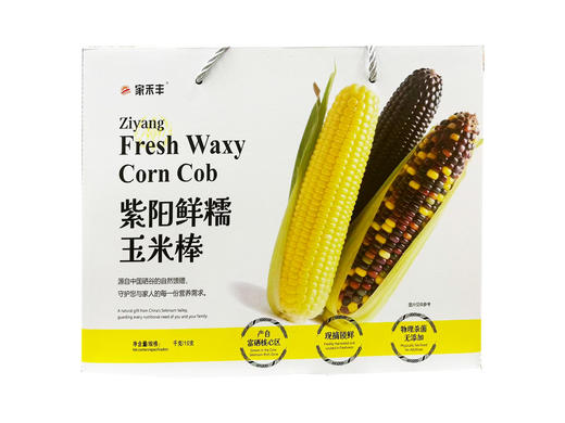 家禾丰 紫阳鲜糯玉米棒10支 商品图0