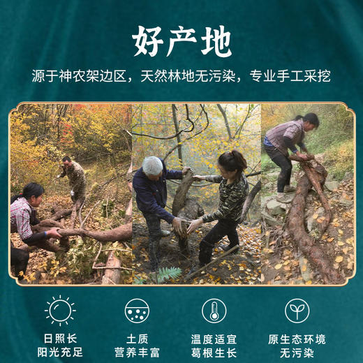 多跃有机葛根粉天然葛粉（30年）礼盒装  700g/盒（全国包邮，部分地区除外） 商品图3