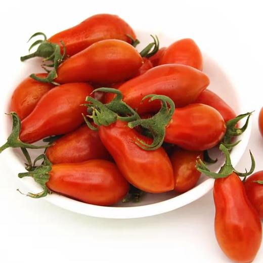 东北碱地小柿子（500g左右） 商品图0