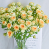 【俊发社区物业中心自提商品】【牛油果多头玫瑰 】鲜花10枝「青涩微甜·层次盎然」 商品缩略图4