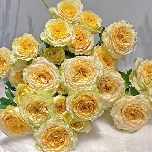 【俊发社区物业中心自提商品】【牛油果多头玫瑰 】鲜花10枝「青涩微甜·层次盎然」 商品图0