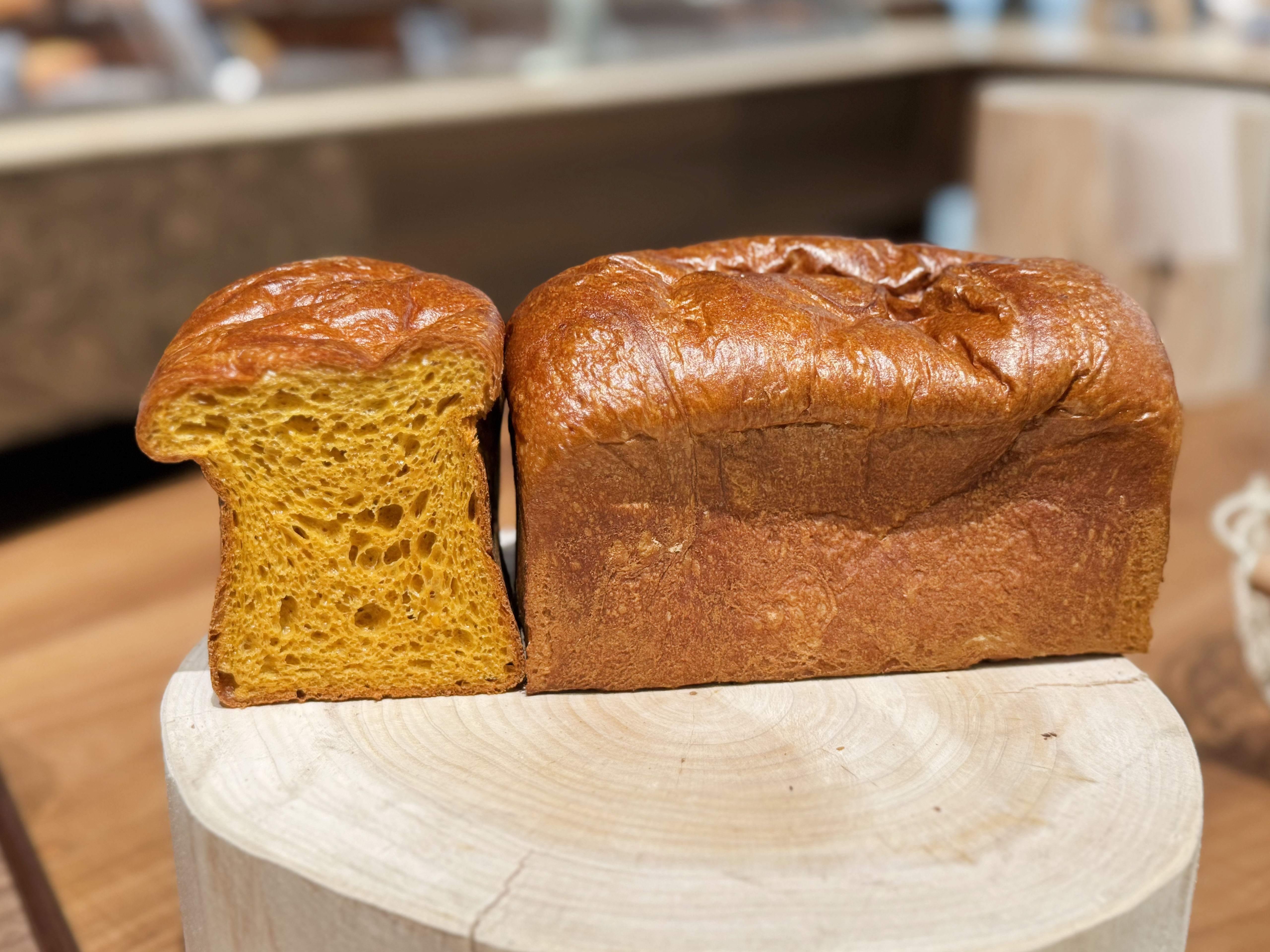 ★南瓜庞多米（邮寄）