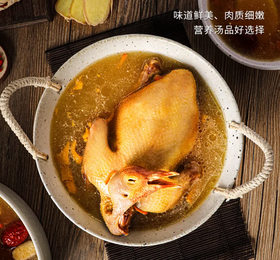 生态老鸽子|2只装  生态散养 五谷杂粮 青草青菜喂养 肉质紧实口感好