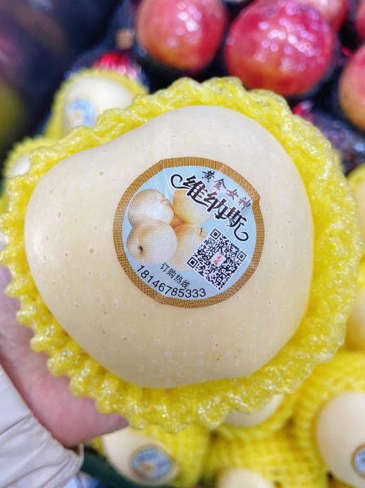 维纳斯苹果三斤 商品图0