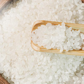 【严选】【黑龙江直发 东北黑土 有机】和粮益田有机寒地鲜香米 东北肥沃黑土 熟饭软糯凉饭不回生有机寒地鲜香米5kg溢田（YITASTE）溢小妹系列（厂家直发）