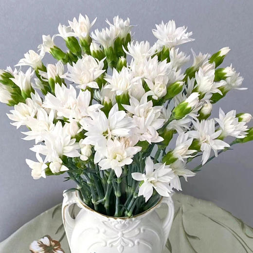 【俊发社区物业中心自提商品】【多头康乃馨·白星太子 草花】鲜花20枝「纯白小星星·清新百搭」 商品图0