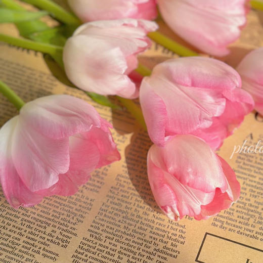 【俊发社区物业中心自提商品】【国产郁金香·粉色 草花】10枝「春日柔粉·优雅易开」 商品图2