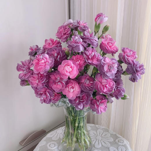【俊发社区物业中心自提商品】【多头康乃馨·野马 草花】鲜花20枝「墨紫丝绒质感」 商品图4