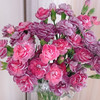 【俊发社区物业中心自提商品】【多头康乃馨·野马 草花】鲜花20枝「墨紫丝绒质感」 商品缩略图0