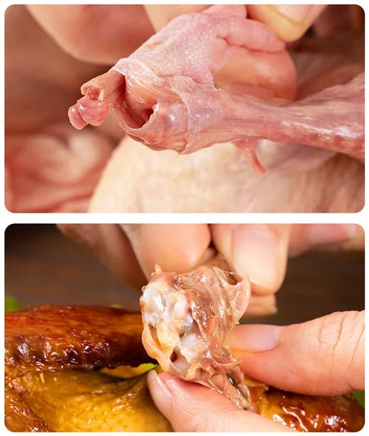 生态老鸽子|2只装  生态散养 五谷杂粮 青草青菜喂养 肉质紧实口感好 商品图4