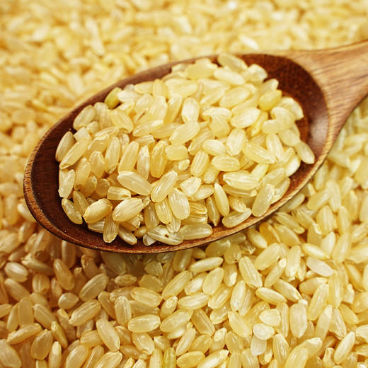 【严选】【黑龙江直发 东北黑土 有机】和粮溢田有机糙米 完整饱满 无化肥农药 口感劲道 浓浓稻香有机糙米1kg溢田（YITASTE）溢小妹系列（厂家直发） 商品图0