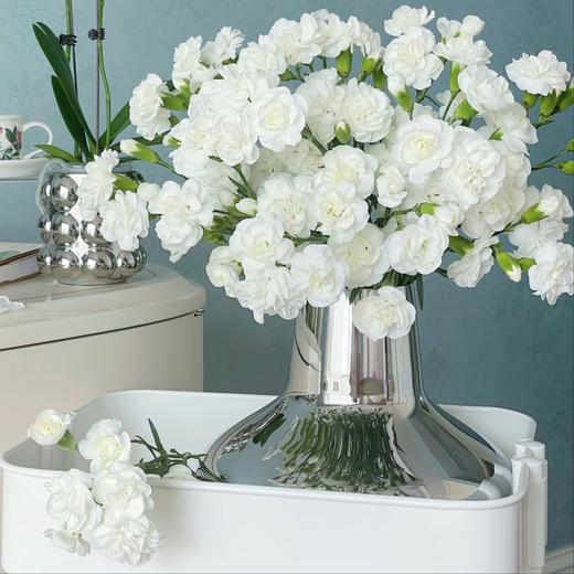 【俊发社区物业中心自提商品】【茉莉多丁康乃馨·奶油白 草花】鲜花20枝「多头香柔·清雅温馨」 商品图3