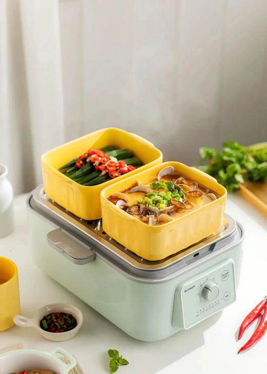 北鼎G5253多功能电蒸锅 商品图2