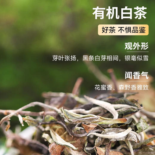 无墨记有机白茶-勐海白茶丨红茶晒红-勐海红茶丨生茶-勐海普洱茶（生茶）丨熟茶-普洱茶（熟茶） 100克 商品图2