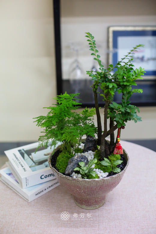 碟盆提根紫檀 商品图1