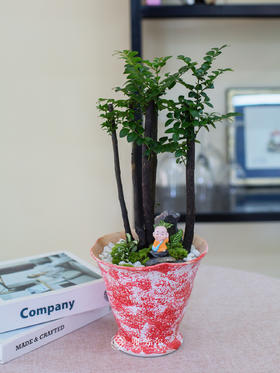 红白色陶盆紫檀