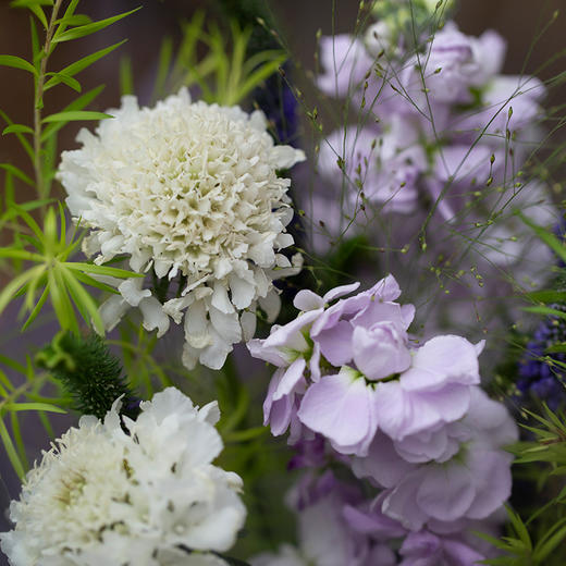 天蝎座4款幸运花束｜十二星座随心定制系列 商品图7