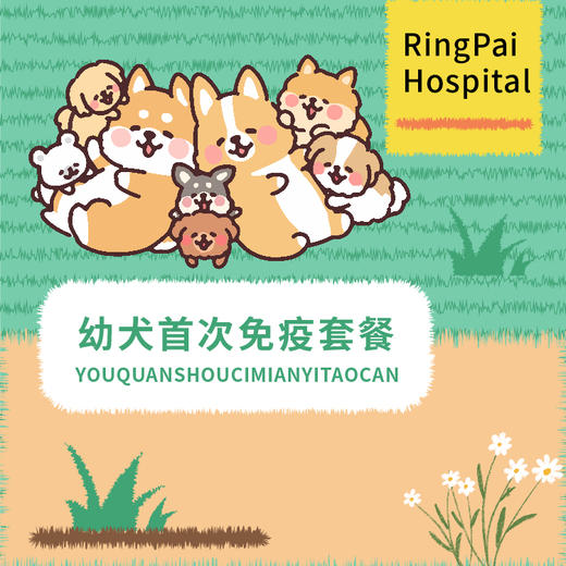 幼犬首次免疫套餐 （犬八联3针+狂犬1针+驱虫+抗体检测） 商品图0