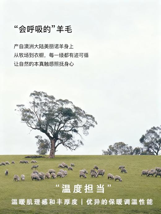 L1热销200+臣禾	【雪花裤】松紧腰休闲裤含蚕丝羊毛茧型裤 立体垂坠有型	JZ253061575 商品图9