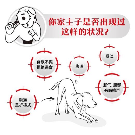 皇家 成犬低脂易消化全价处方粮 商品图4
