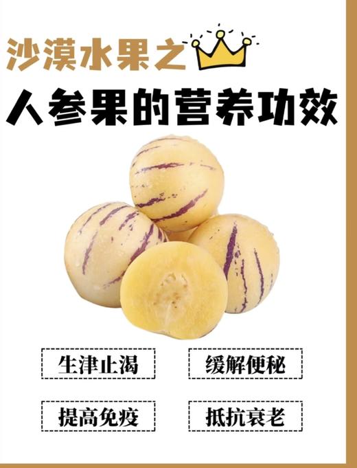 9.9元2斤人参果（盒） 商品图5