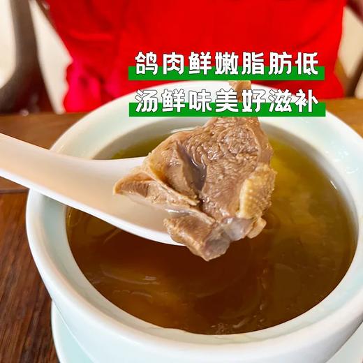 生态老鸽子|2只装  生态散养 五谷杂粮 青草青菜喂养 肉质紧实口感好 商品图2