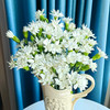 【俊发社区物业中心自提商品】【多头康乃馨·白星太子 草花】鲜花20枝「纯白小星星·清新百搭」 商品缩略图4
