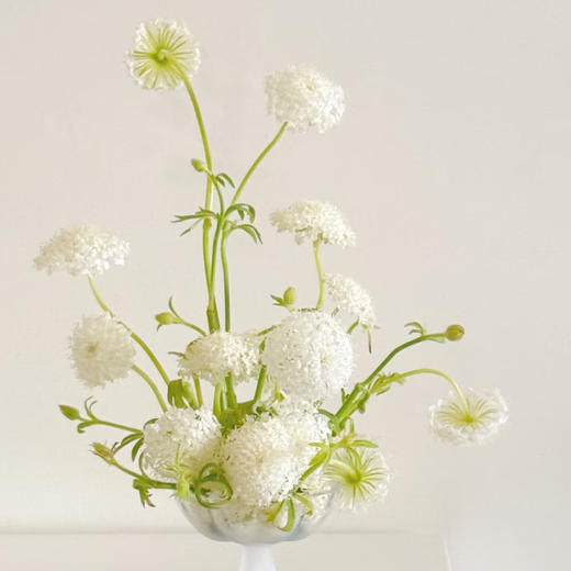 【俊发社区物业中心自提商品】【翠珠·白色 草花】鲜花500-800g「雾状小白花·自然灵动」 商品图0