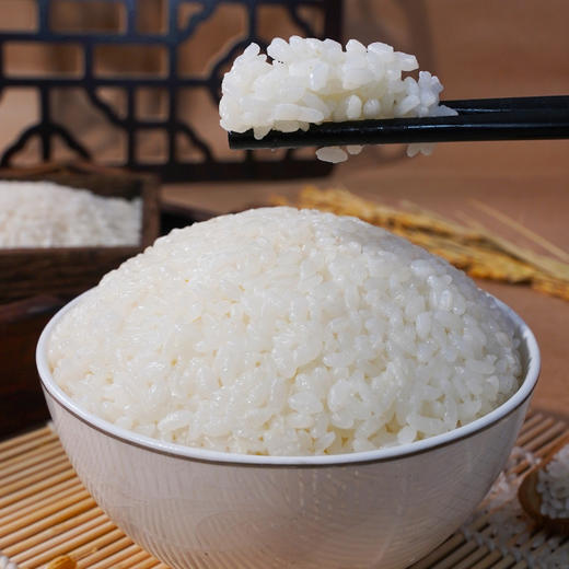 【严选】【黑龙江直发 东北黑土 有机】和粮益田有机寒地鲜香米 东北肥沃黑土 熟饭软糯凉饭不回生有机寒地鲜香米5kg溢田（YITASTE）溢小妹系列（厂家直发） 商品图1