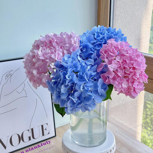 【俊发社区物业中心自提商品】【重磅绣球 草花】鲜花3枝 「花色随机·单枝即是一束花」 商品图4